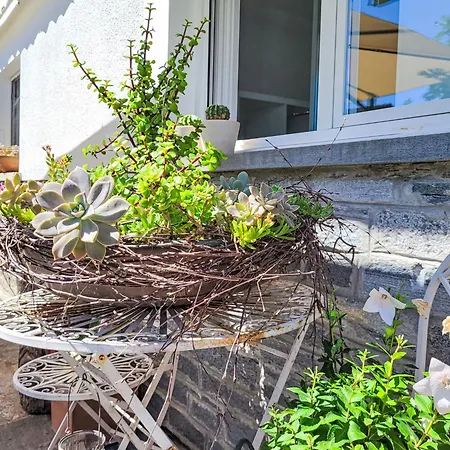 Bizio By Interhome Apartman Gordola