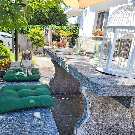 Bizio By Interhome *