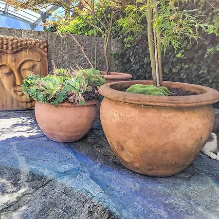 Bizio By Interhome Apartman Gordola