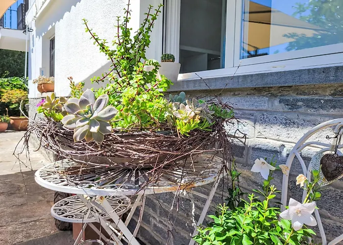 Bizio By Interhome 아파트 고르돌라