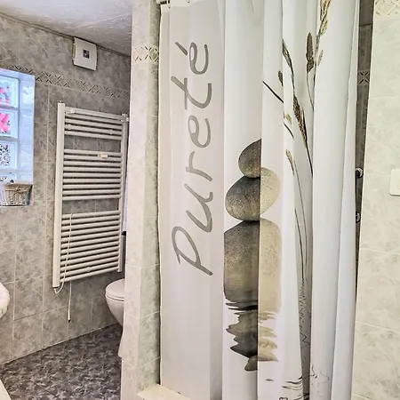 Apartment Bizio By Interhome Gordola