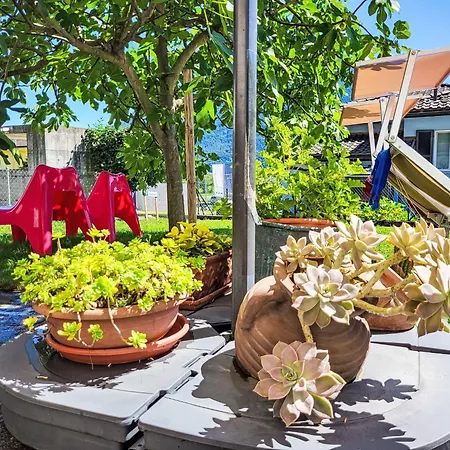 Apartment Bizio By Interhome