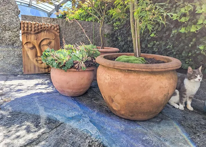 Bizio By Interhome شقة غوردولا